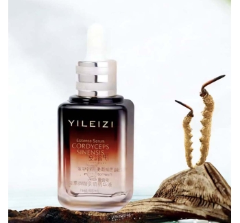 Custom Cordyceps Essence Liquid